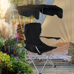 Stadium chair with discount canopy